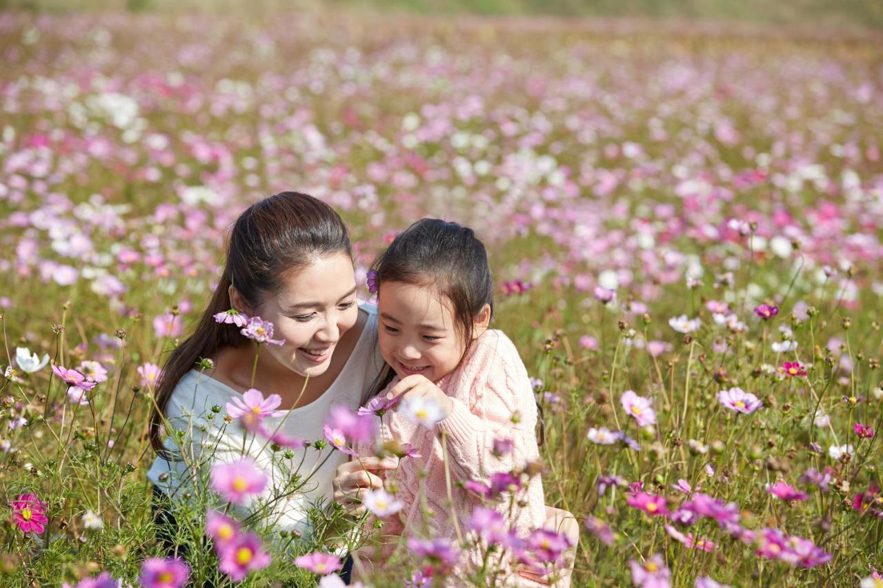 Sadec Farmstay - Khu Du Lịch Hoa Kiểng Sa Đéc Ap Khanh Nghia Exterior foto