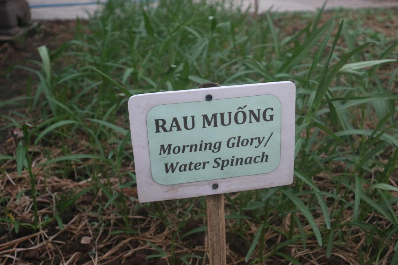 Sadec Farmstay - Khu Du Lịch Hoa Kiểng Sa Đéc Ap Khanh Nghia Exterior foto