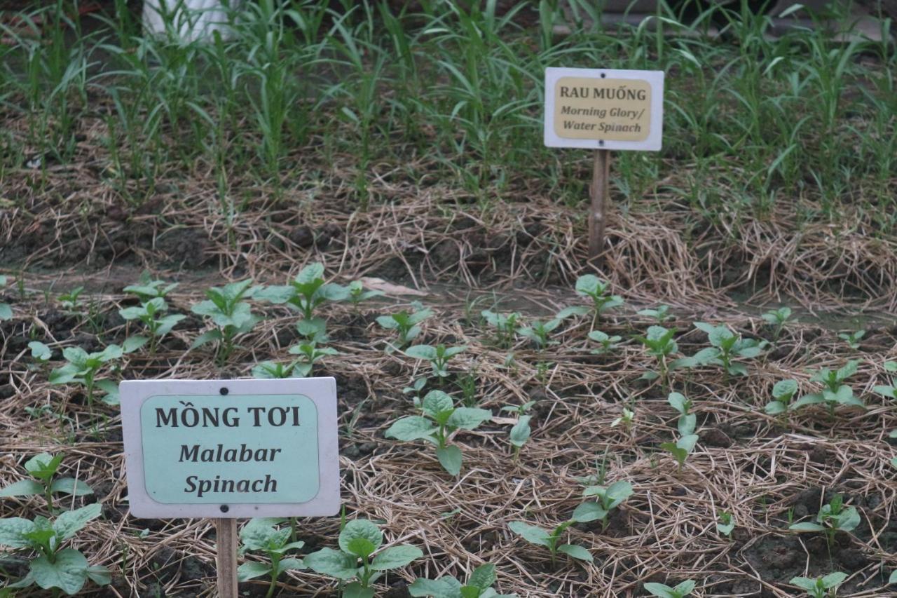 Sadec Farmstay - Khu Du Lịch Hoa Kiểng Sa Đéc Ap Khanh Nghia Exterior foto